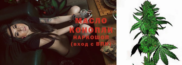 индика Наволоки