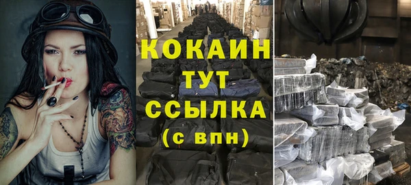твердый Надым