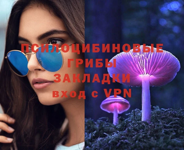 спиды Абаза