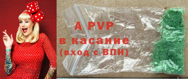 индика Абдулино