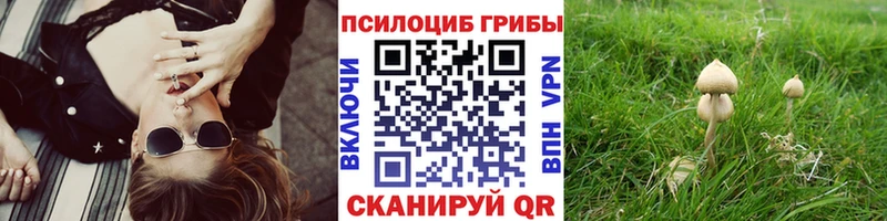 Псилоцибиновые грибы Psilocybe  маркетплейс официальный сайт  Ряжск  кракен ссылки 